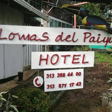 Hotel Lomas del Paiyü Puerto Nariño Dış mekan fotoğraf